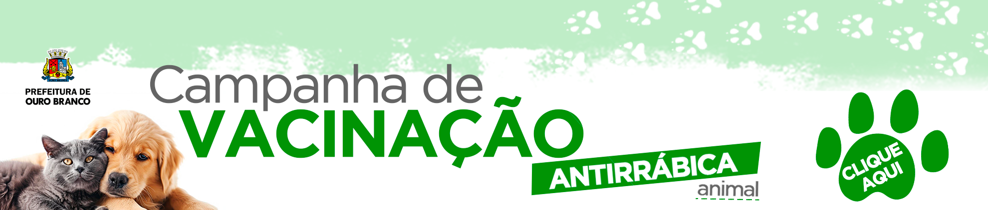 Banner Vacinao Antirrbica 